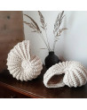 Coquillage rond crème en crochet