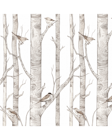 Echantillon papier peint - forêt de bouleaux