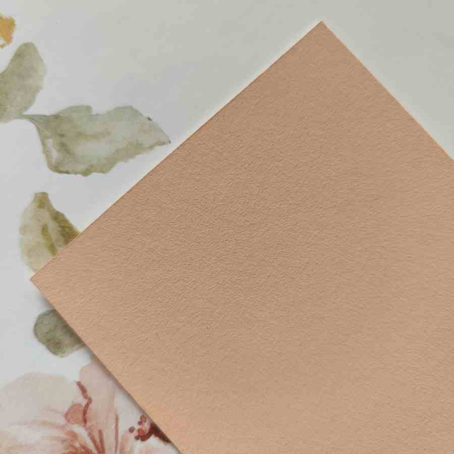 Echantillon peinture jardin printanier