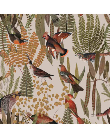 Echantillon papier peint enfant - oiseaux exotiques