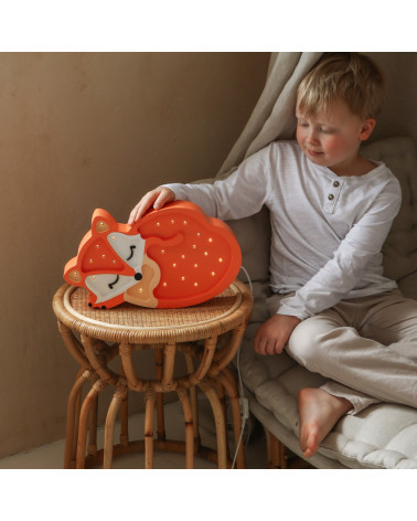 lampe veilleuse led little lights