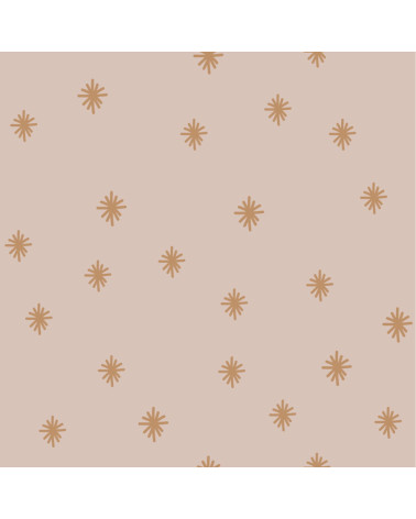 papier peint flocons caramel fond pastel