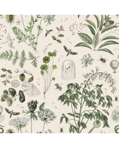 papier peint jardin botanique