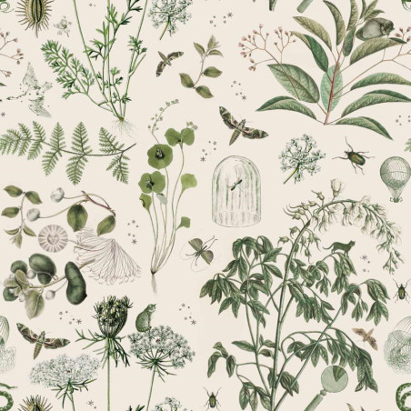 papier peint jardin botanique