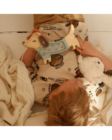 lampe veilleuse mini chien vert et champignons