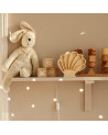 Lampe veilleuse en bois coquillage mini - bois naturel little lights
