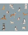 Papier peint enfant chiens - fond bleu