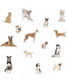 Papier peint enfant chiens - fond blanc