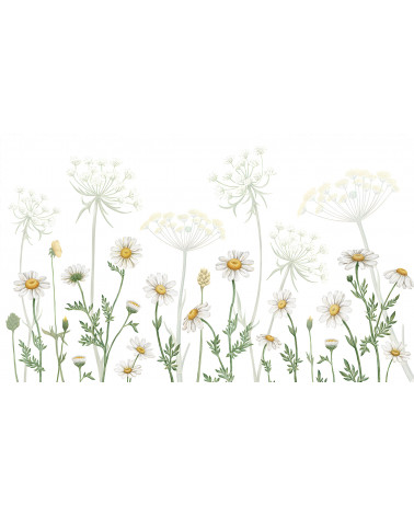 Papier peint enfant Field of Daisies - Kikki Belle