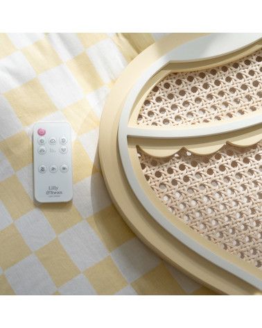 Lampe veilleuse en bois et rotin - montgolfière