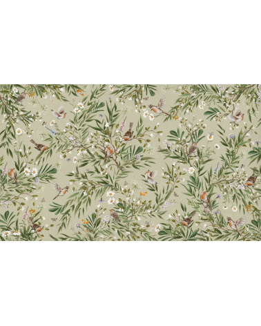 Papier peint enfant Playful Robins - Green
