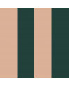 Papier Peint Enfant – Grandes Rayures Vert Royal et Rose